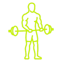 Barbell Curl