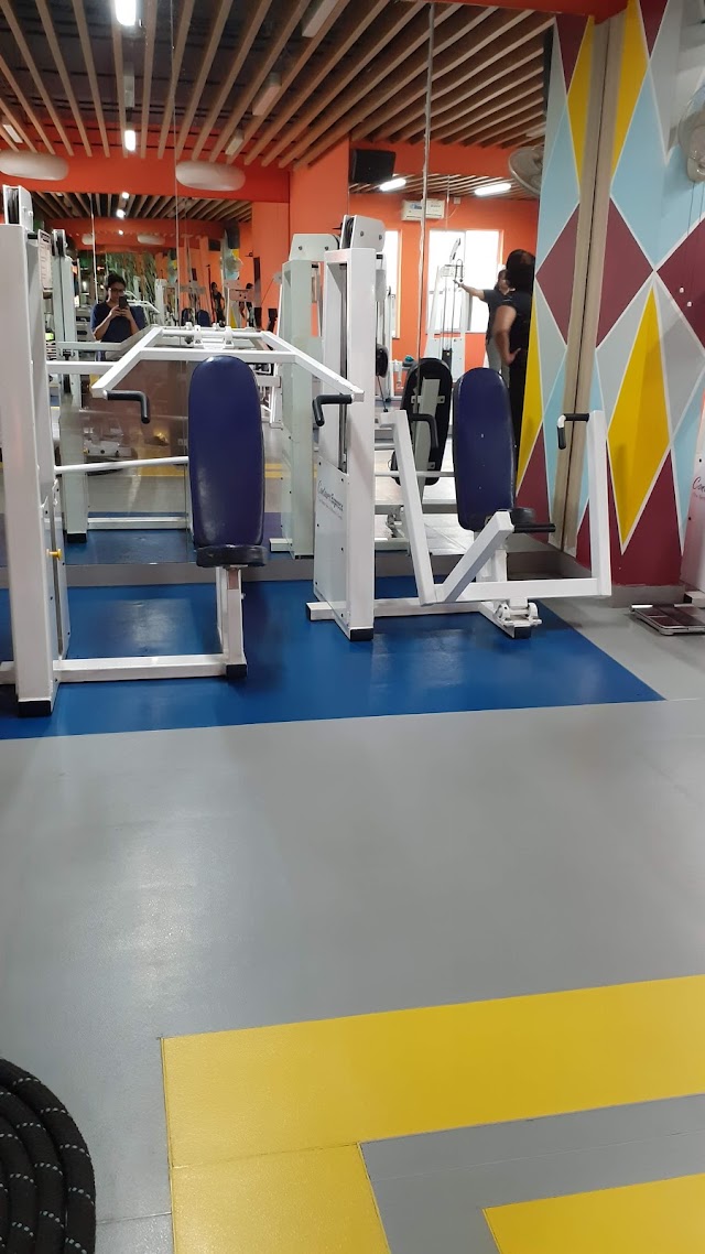 SHAPE IN - The Only Ladies Fitness Gym Specialists | The Best Womens Gym in RT Nagar | 5★ Rating on Yoactive