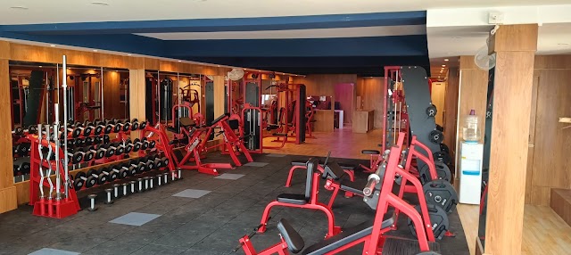 Live Fitness Gym - Best Gym in JP Nagar