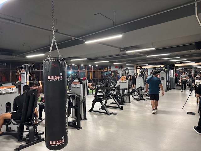 SHARK FITNESS GYM