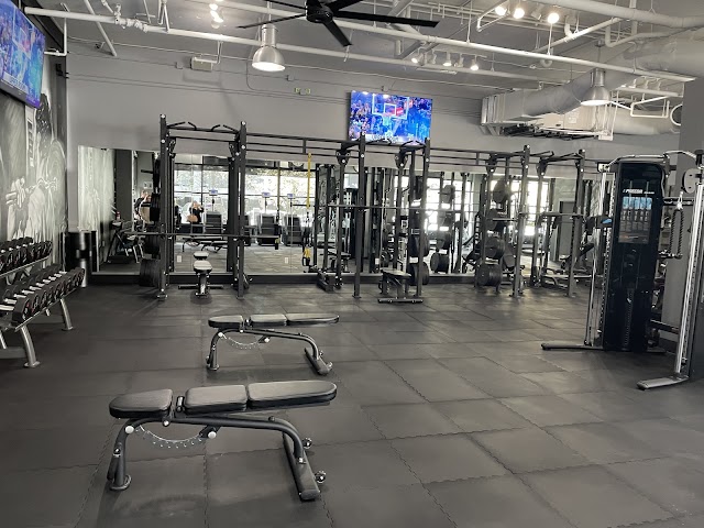 Pro Fit Training Gym