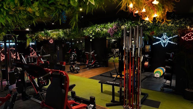 Barbell Cartel Gym