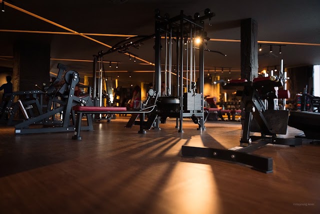 Aurum Luxury Fitness Club
